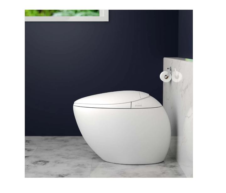 Trone 93526 Floor Mount Smart Bidet Toilet